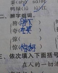 绿的组词是什么(绿的组词是什么和拼音)