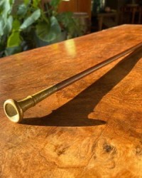 把柄的柄组词(萎组词)