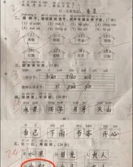 我看到没怎么组词