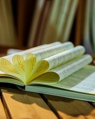 反怎么组词(反怎么组词?)