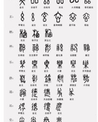 胡的组词有哪些(胡的组词有哪些一年级下册)