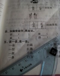 田狗怎么组词