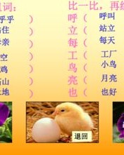 组词美怎么