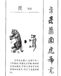 虎怎么组词语