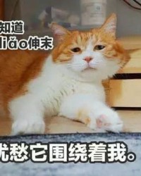 没恩闷闷怎么组词