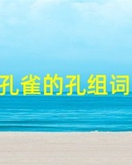 孔组词(孔组词2个字)