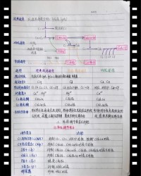 伶俐的俐组词(伶俐的俐组词什么)