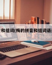 梅的拼音和组词(梅的拼音和组词语是什么呢)