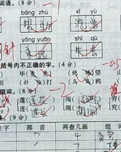 用簸箕组词鸡怎么组词