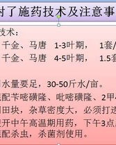 龄子怎么组词