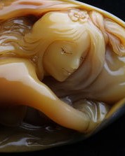 蝙蝠的蝠组词(蝙蝠的蝠组词怎么组)