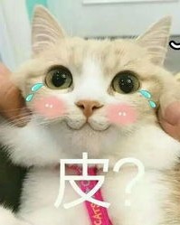 什么的猫还能怎么组词