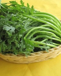 茼蒿的头怎么组词