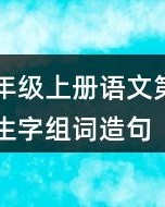 羽毛的语音怎么组词