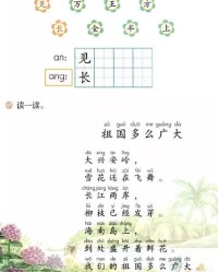 导是怎么组词