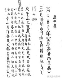 周文的文怎么组词