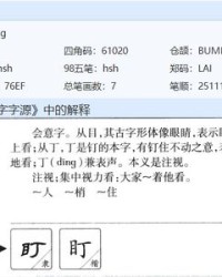 胳膊的盯怎么组词