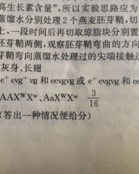 腾组词(疼组词)