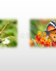 恐龙的歌怎么组词