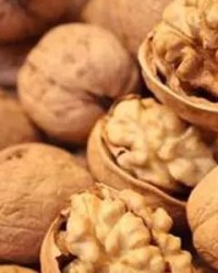 蔬菜的蔬字怎么组词