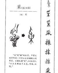 采桑桑怎么组词