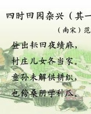 田园杂兴的杂怎么组词