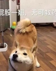 一个怎么组词简单
