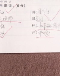 朋组词有哪些(朋组词有哪些二年级上册)