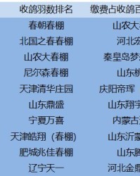公加羽怎么组词