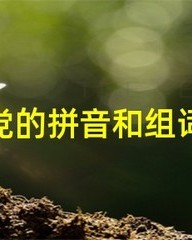 党的组词和拼音(党的组词拼音偏旁)