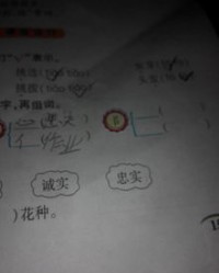 耳怎么组词