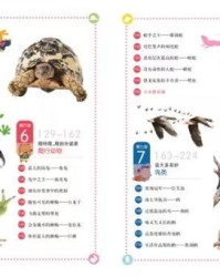 团怎么读拼音和组词