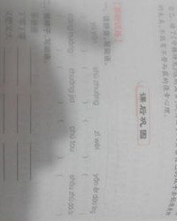 偷字怎么组词