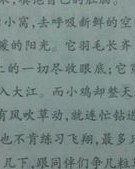 小鹰的怎么组词