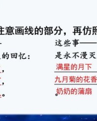 幔怎么组词漫