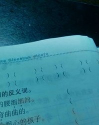 组织的组词怎么组词
