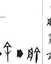 捷德医生怎么组词