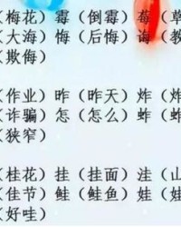 博字的组词