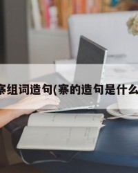 寨组词造句(寨的造句是什么)