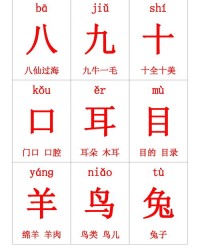 片字组词(会字组词)