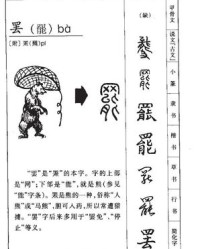 颈拼音和组词(颈拼音和组词是什么呀)