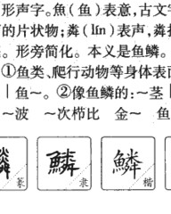 辫的拼音和组词(辫的拼音和组词分别是什么?)