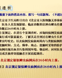 轮组词语