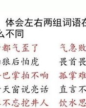 尽到的尽怎么组词