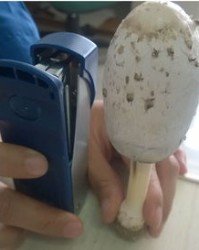 祺怎么组词