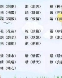分的组词有什么