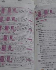 鹊的拼音偏旁组词怎么写