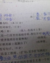 用视组词