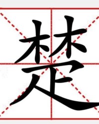 拂掠怎么组词