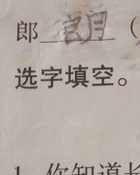 用郎组词(用朗组词)